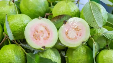 Wellhealthorganic.com:5-Amazing-Health-Benefits-Of-Guava