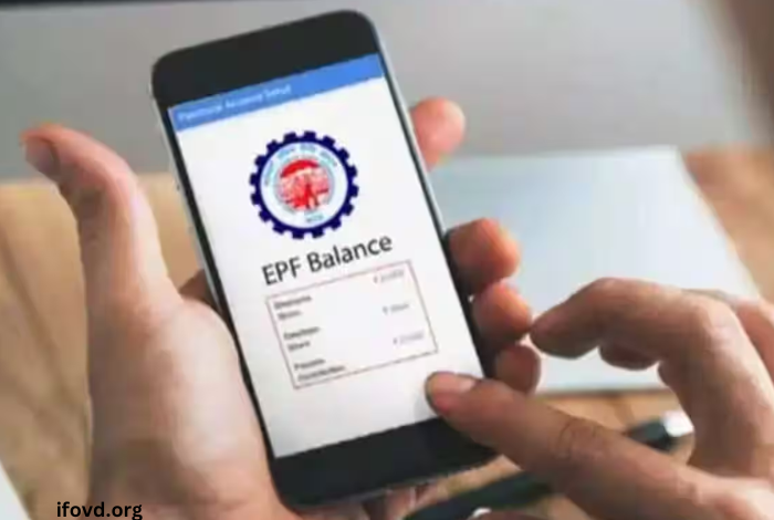 Check EPF Balance Online: Methods and Procedures